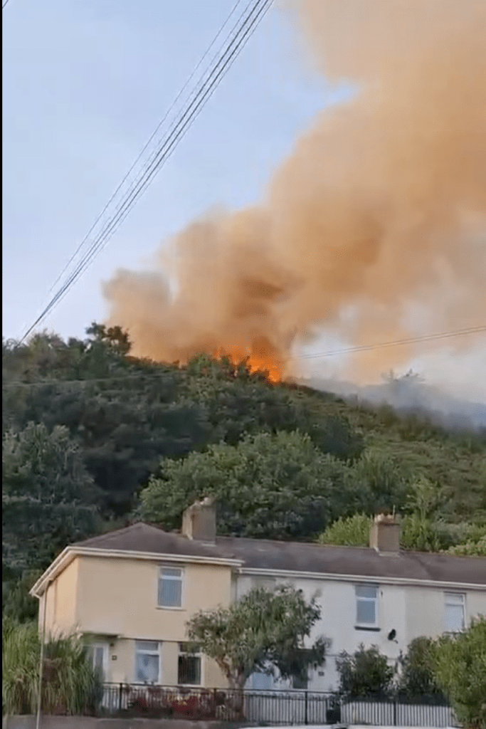 Flames and a large plume of orange smoke on the wooded hillside of Kilvey Hill, rising directly behind a terrace of houses