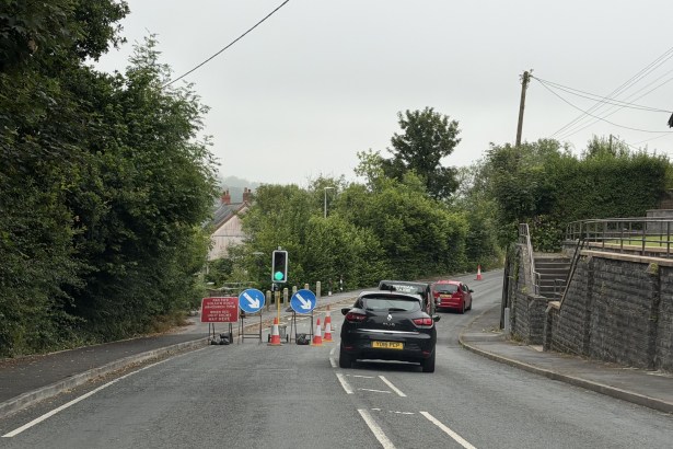 A temporary traffic signal showing green on a rural road, with the closed lane coned off and houses beyond.