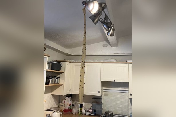 A long sticky fly-paper strip covered in dozens of trapped flies, hanging from a kitchen ceiling light down to the worktop