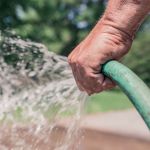 Close-up of a man's hand holding a green hosepipe with water spraying out, with a garden blurred behind