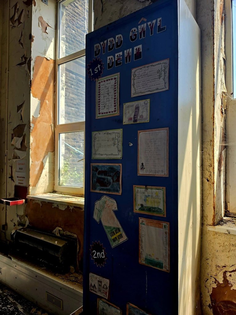 Dydd Gwyl Dewi St David's Day display with children's Welsh-language work and rosettes on a blue board