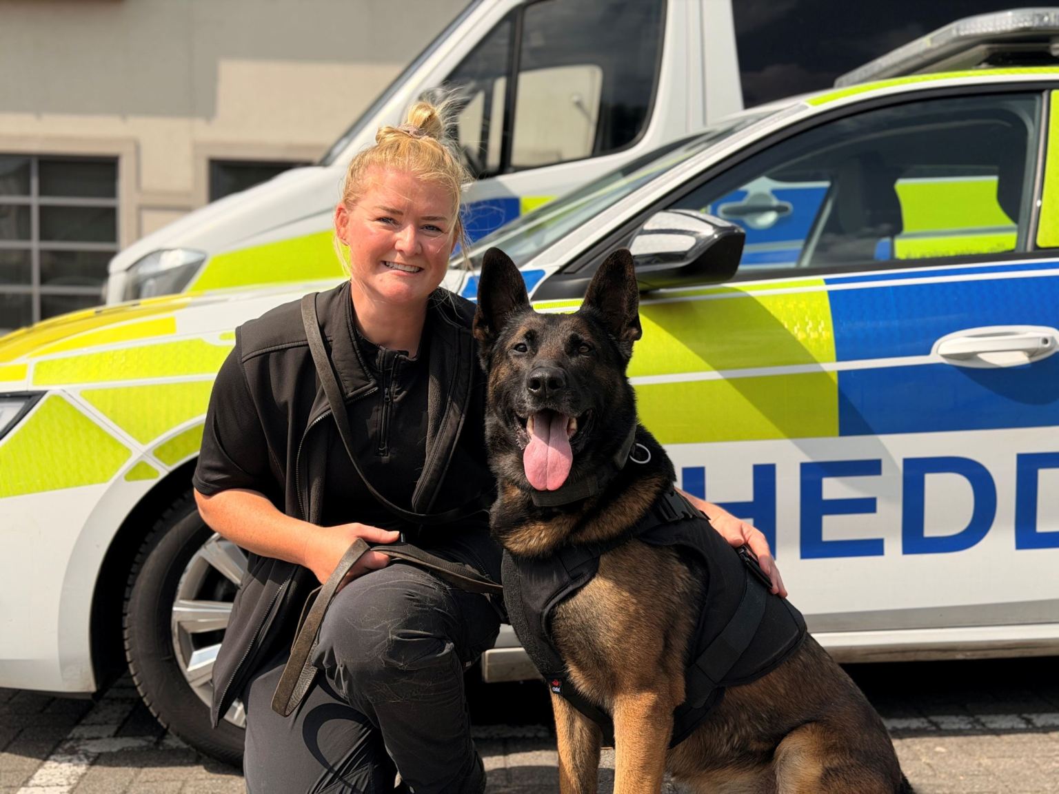 Police dog Sonny, a Belgian Malinois wearing black protective body armour, sitting beside his smiling handler in front of two police vehicles