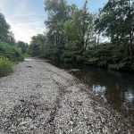A wide gravel riverbed exposed by low water on a tree-lined Welsh river