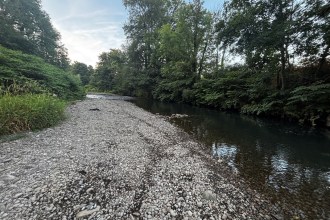 A wide gravel riverbed exposed by low water on a tree-lined Welsh river
