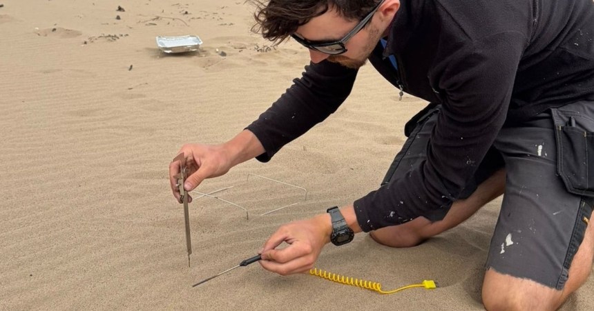 Sand temperature test at Cefn Sidan