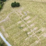 Pale rectangular marks in dry grass showing the foundations of rows of huts