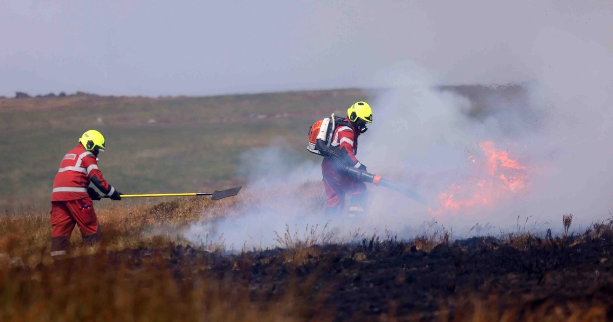 Two firefighters in red wildfire kit working in smoke on burning moorland, one with a shovel and one using a leaf blower against flames