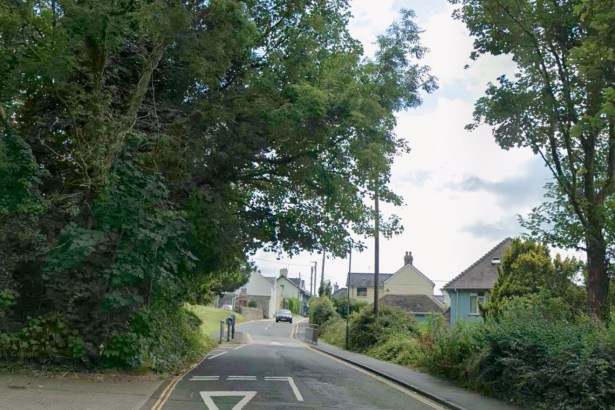 A Street View image of Bishopston Road in Bishopston, Gower, a tree-lined road with houses beyond a junction
