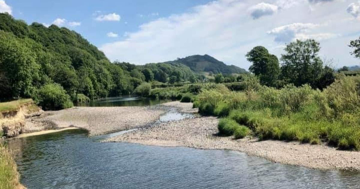 The River Towy running low with wide gravel banks exposed between the water and green riverbanks
