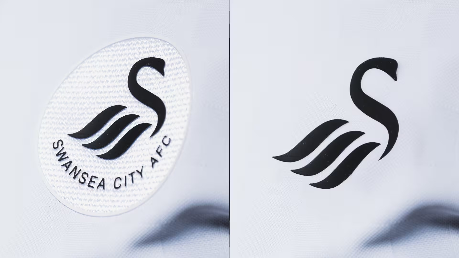 SWANS: Badge vote opens as club reveals how long the plan has been in the works