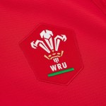 Close-up of the red WRU crest with the Prince of Wales feathers on the new red home jersey