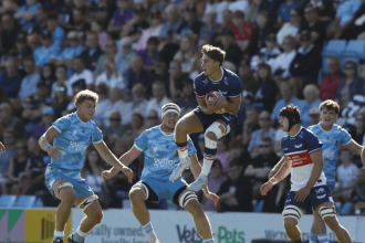 Scarlets players in action against Exeter Chiefs at Sandy Park
