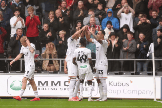 Swansea City in action against Burnley at the Swansea.com Stadium