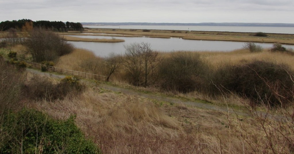 Reedbeds and a winding stretch of open water at Ffynnon Helyg, with a path in the foreground and the estuary beyond