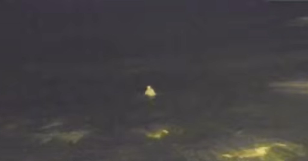 Gavin Bennett visible in dark water at night off Porthcawl seafront, in a still from South Wales Police video