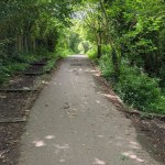 A tarmac shared-use path with timber edging running straight ahead between trees in full leaf, dappled with sunlight