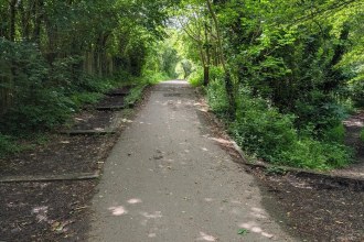 A tarmac shared-use path with timber edging running straight ahead between trees in full leaf, dappled with sunlight