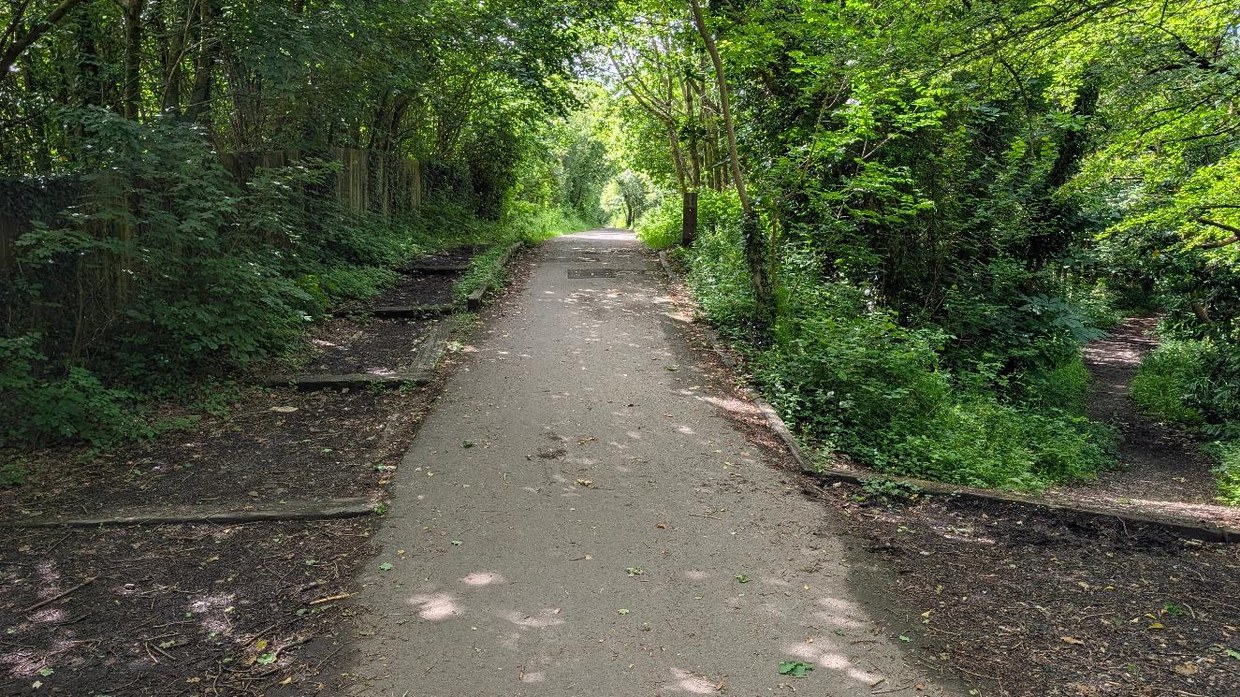 A tarmac shared-use path with timber edging running straight ahead between trees in full leaf, dappled with sunlight