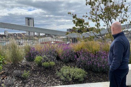A man looks out over a rooftop garden of grasses and purple flowers at 71/72 Kingsway, with Swansea's Meridian Tower on the skyline