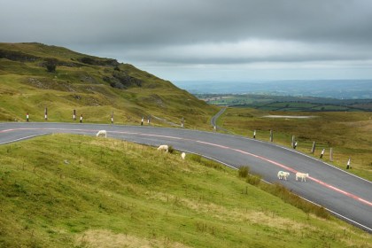 The A4069 Black Mountain road winding across open hillside in Carmarthenshire, with sheep on the verge and the carriageway and farmland stretching into the distance