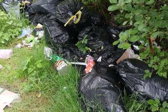 Fourteen black bin bags and loose rubbish including a bucket and cardboard dumped in long grass under trees beside a wooden fence