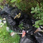Fourteen black bin bags and loose rubbish including a bucket and cardboard dumped in long grass under trees beside a wooden fence