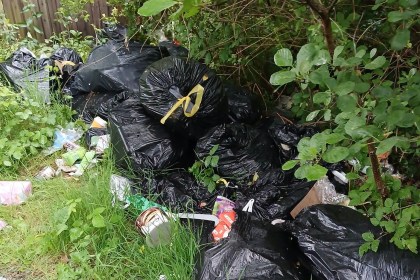 Fourteen black bin bags and loose rubbish including a bucket and cardboard dumped in long grass under trees beside a wooden fence