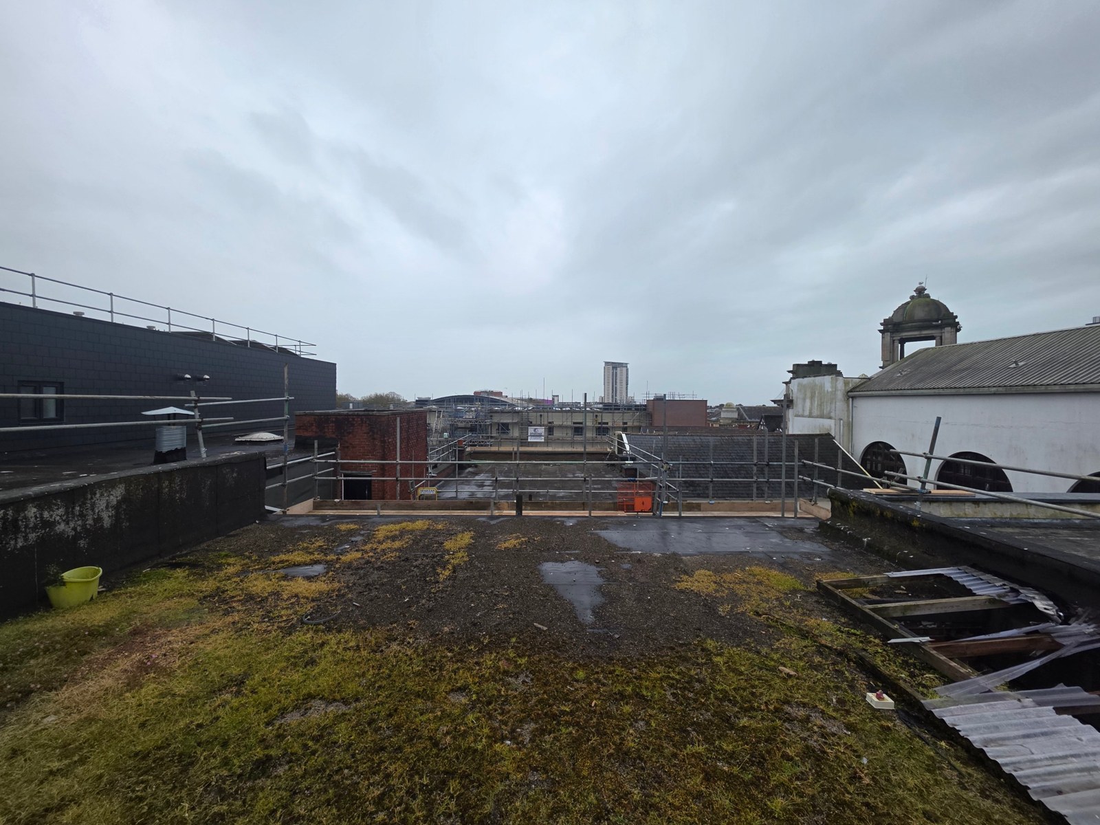 A mossy, puddled flat roof above The Bunkhouse with Swansea rooftops and the Meridian Tower behind