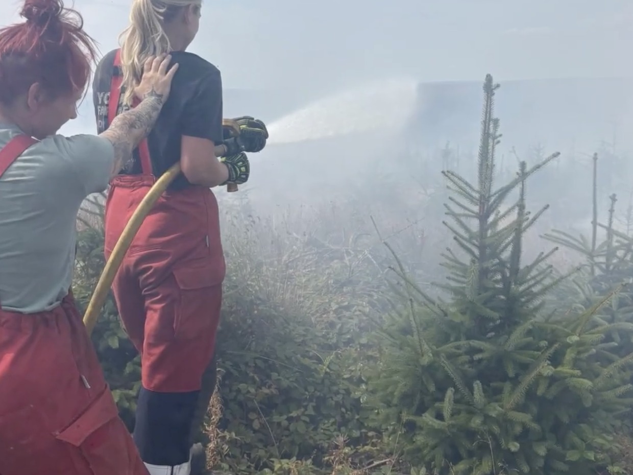 Two female firefighters directing a jet of water from a hose over smoking ground and young conifers
