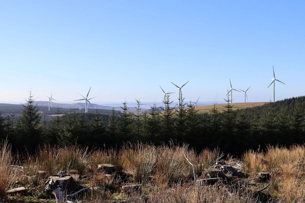Wind turbines on the skyline above clear-felled forestry and young conifers on the South Wales Valleys uplands