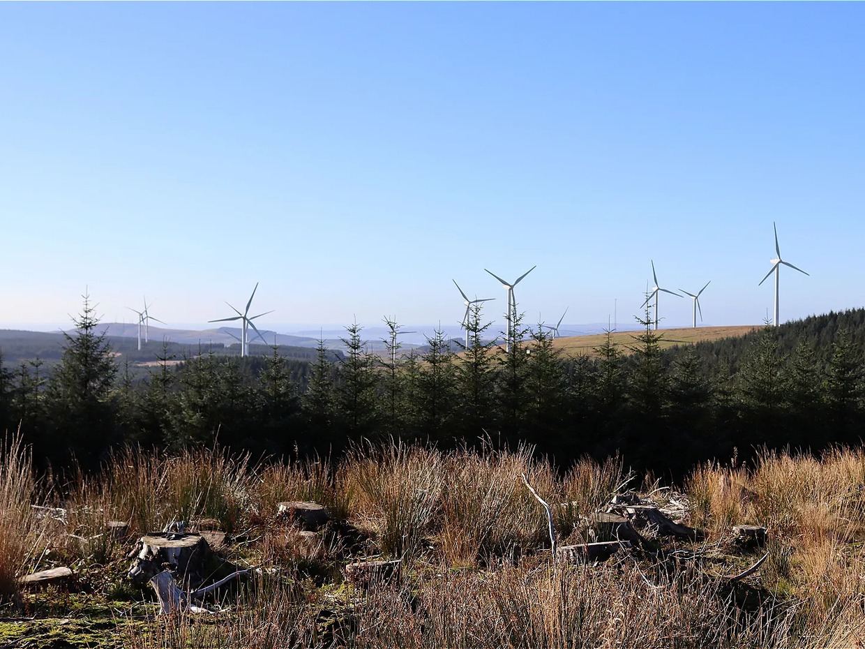 Wind turbines on the skyline above clear-felled forestry and young conifers on the South Wales Valleys uplands