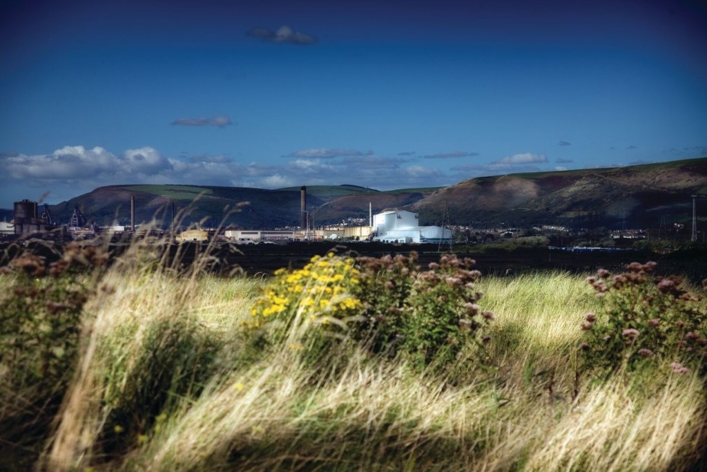The Port Talbot steelworks seen across long grass and wild flowers, with hills behind