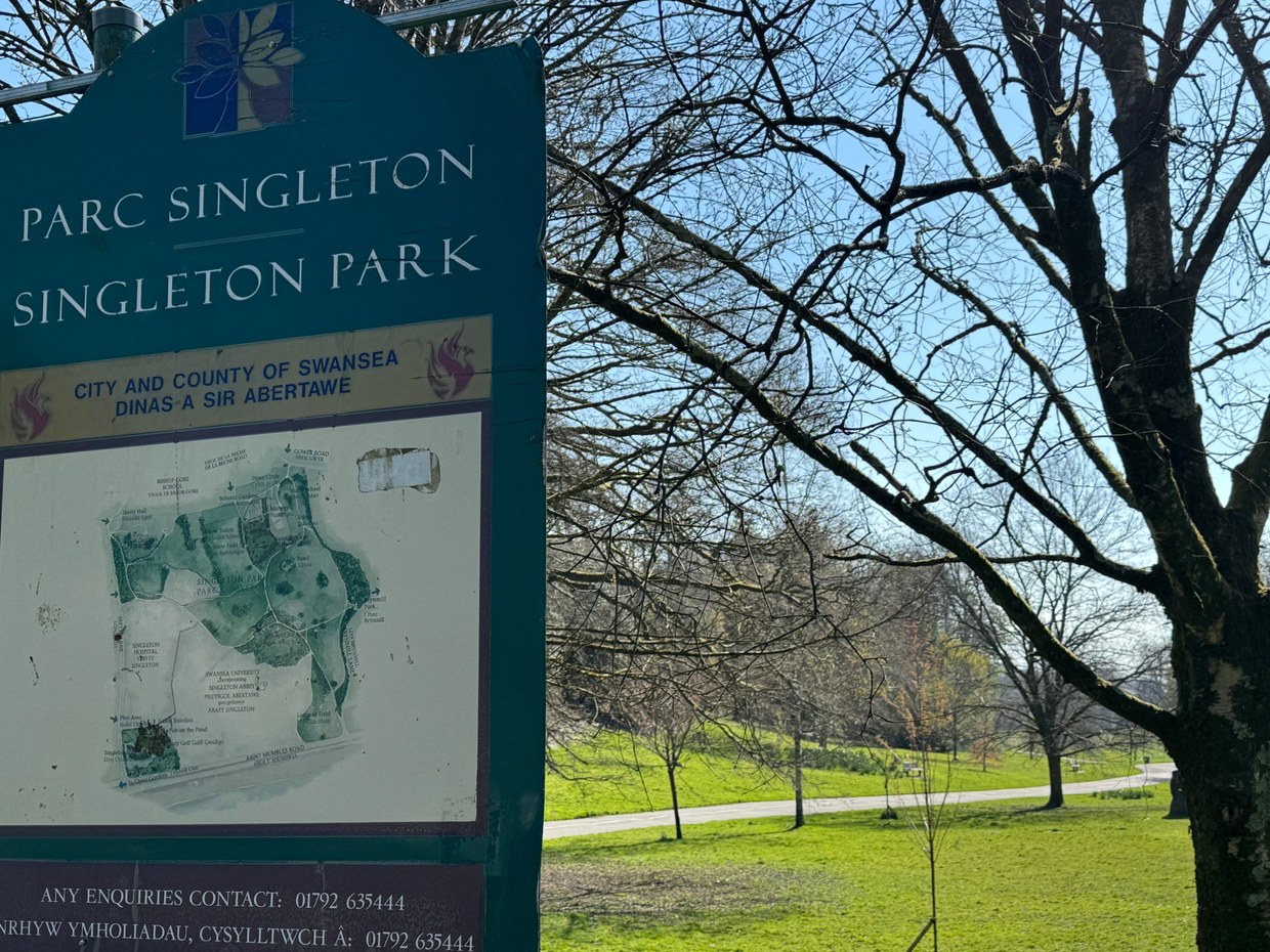 The bilingual Parc Singleton / Singleton Park sign with a City and County of Swansea crest and park map, with trees and lawns behind