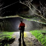 A National Grid engineer in a hi-vis jacket and helmet stands on a lane at night in driving rain beneath a fallen tree brought down across an overhead power line