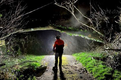 A National Grid engineer in a hi-vis jacket and helmet stands on a lane at night in driving rain beneath a fallen tree brought down across an overhead power line