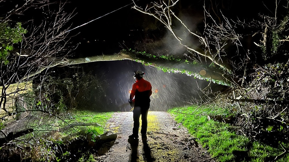 A National Grid engineer in a hi-vis jacket and helmet stands on a lane at night in driving rain beneath a fallen tree brought down across an overhead power line