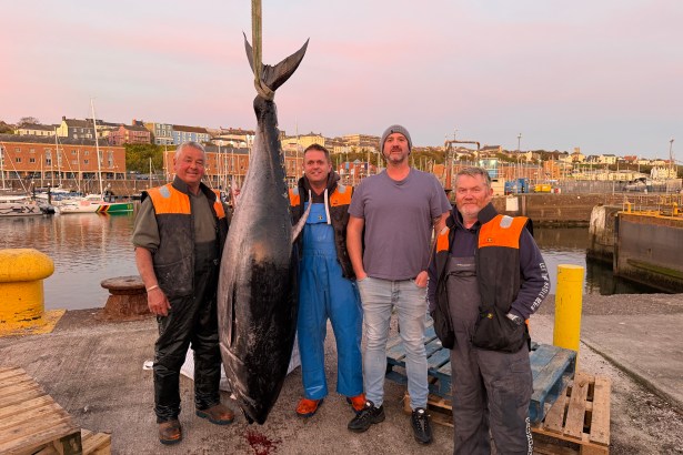 Four fishermen in waterproofs and a man in a grey T-shirt stand beside a bluefin tuna hung by its tail from a hoist on the quay at Milford Haven at dusk