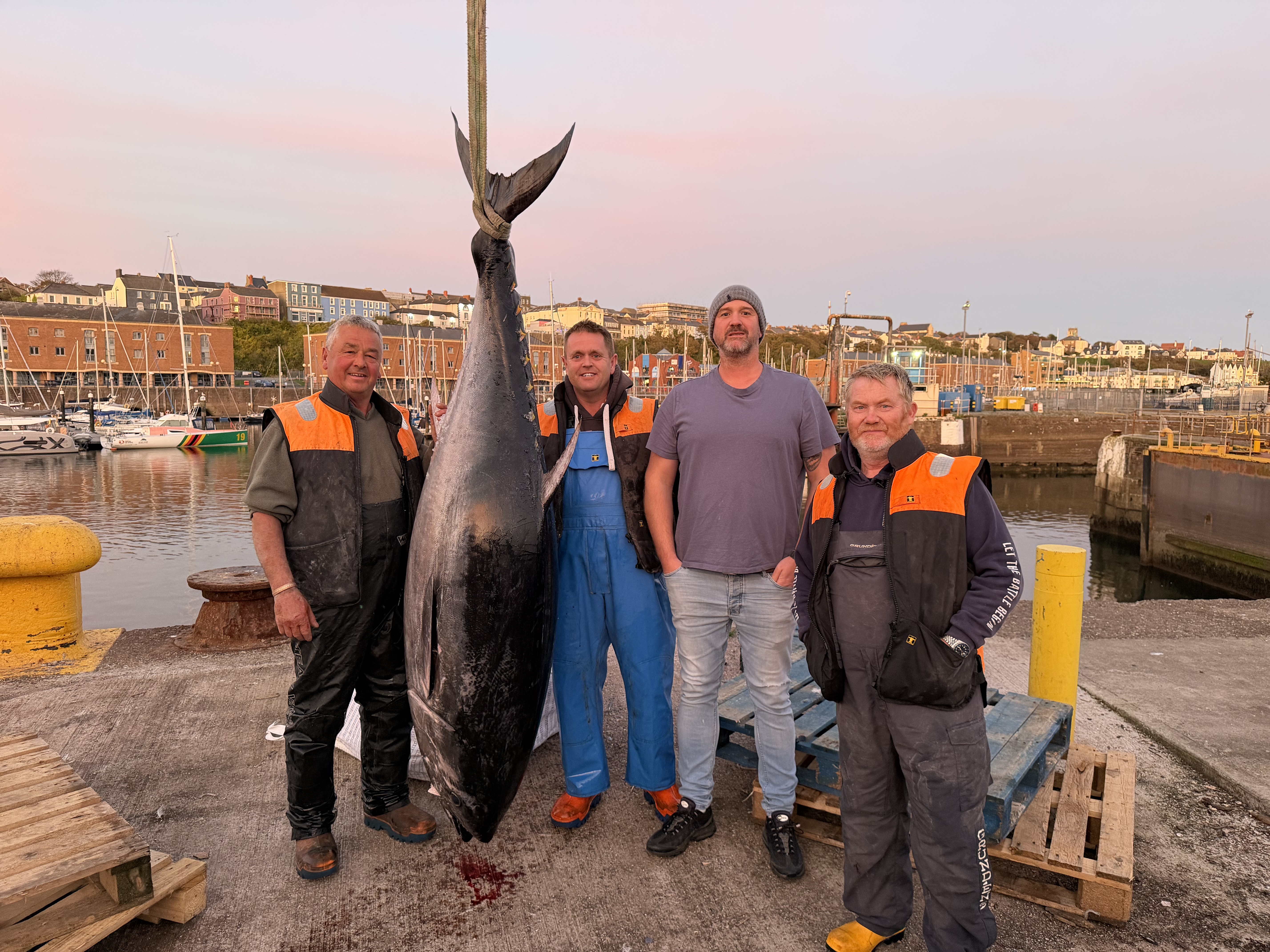 BURRY PORT: Wales’ first commercially caught bluefin tuna went over the counter at a Saturday morning fish market