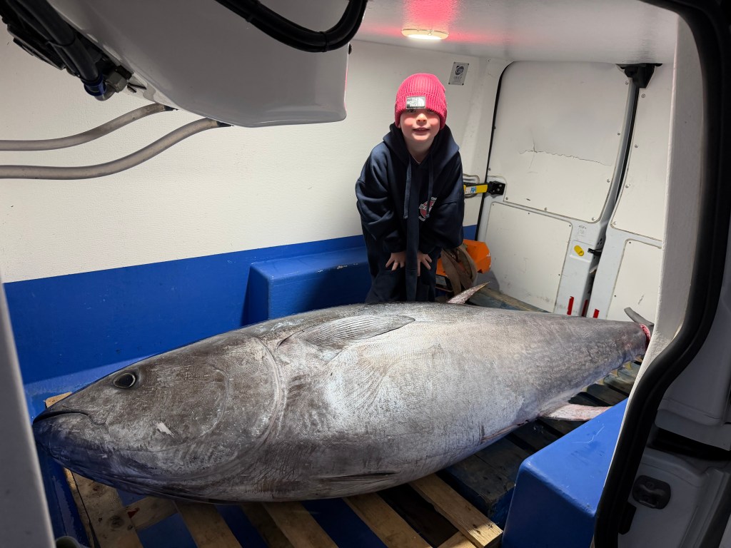 A boy in a pink hat crouches behind a bluefin tuna lying on a pallet in the back of a refrigerated van